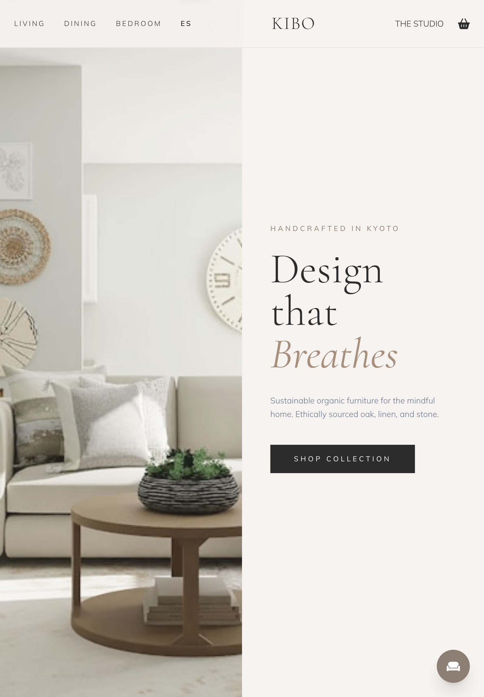 Retail Furniture iPad