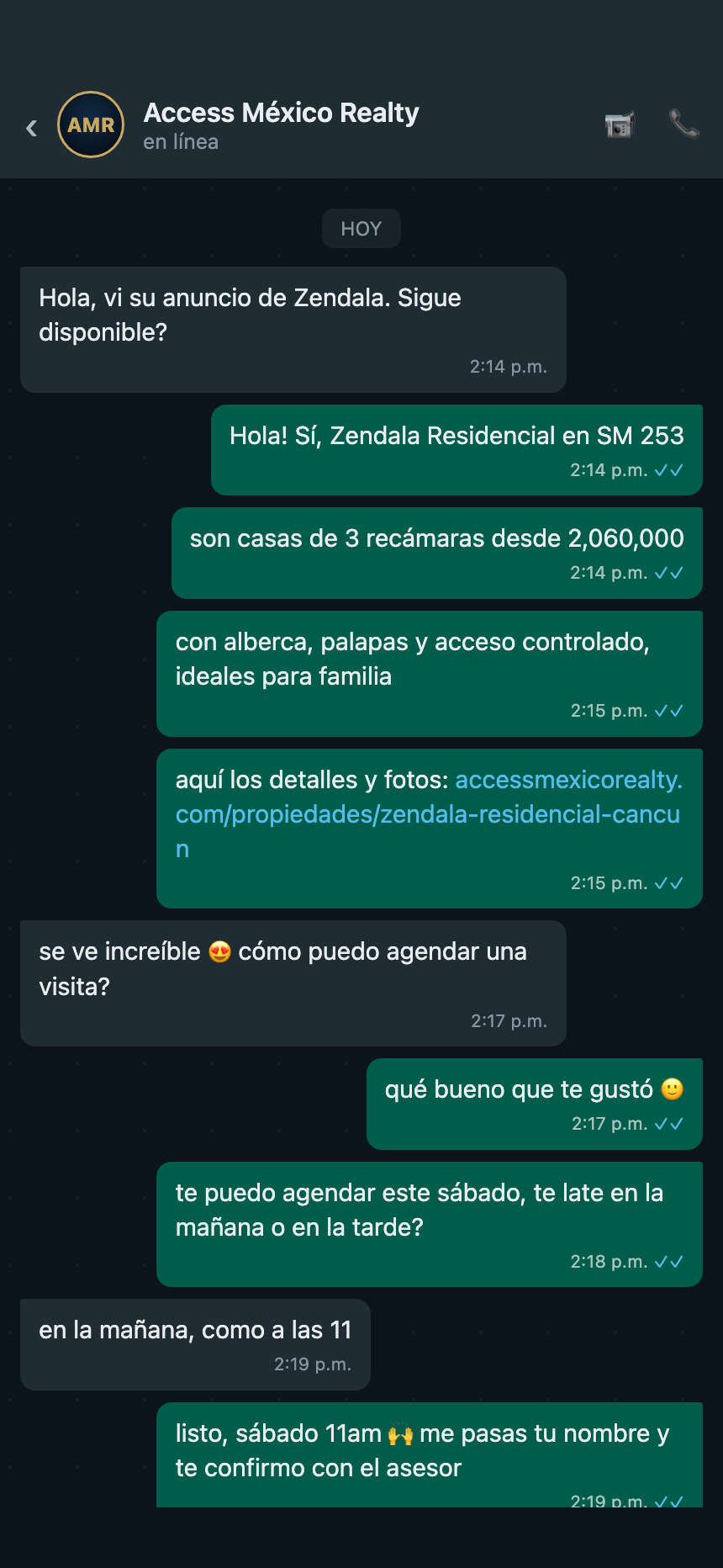 Mary, the Access Mexico Realty WhatsApp AI agent, closing a sale