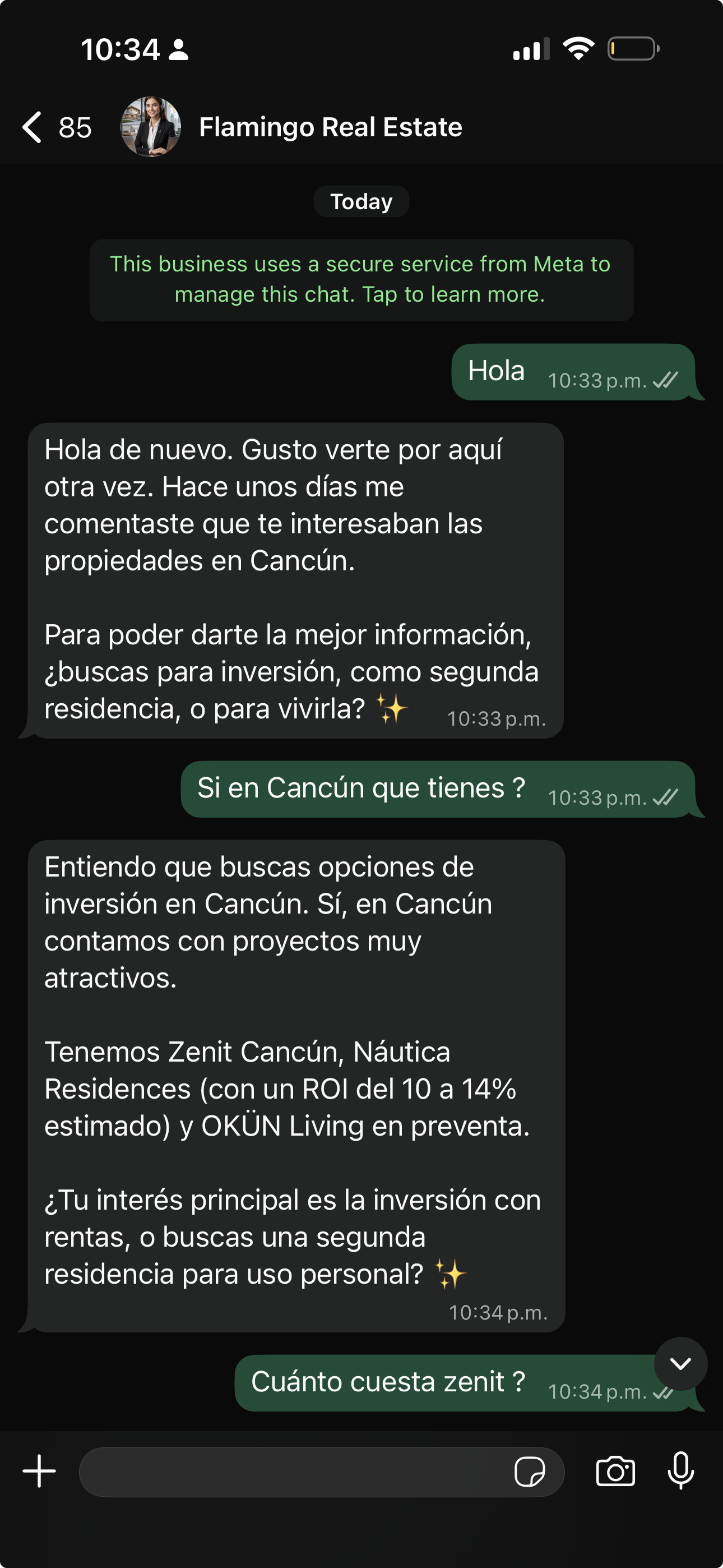 Flamingo Real Estate WhatsApp automation with Sofia qualifying a Cancún property lead