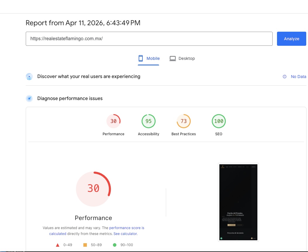 PageSpeed Before - Score 30