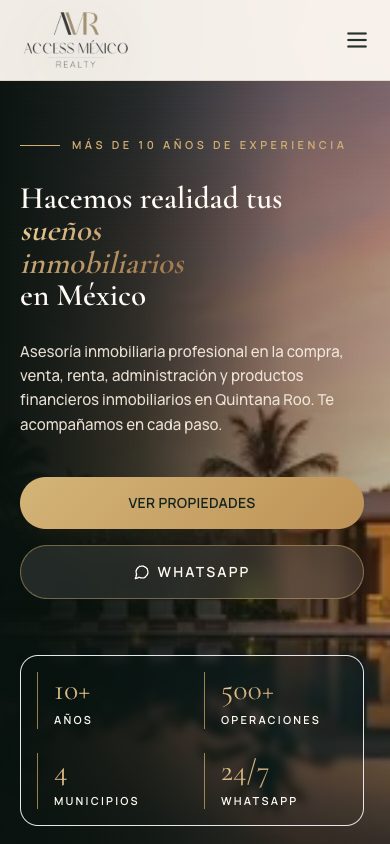 Access Mexico Realty mobile preview
